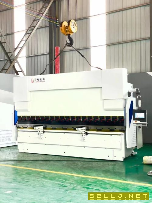 出售良智WF67K-100T/4000數(shù)控折彎?rùn)C(jī)