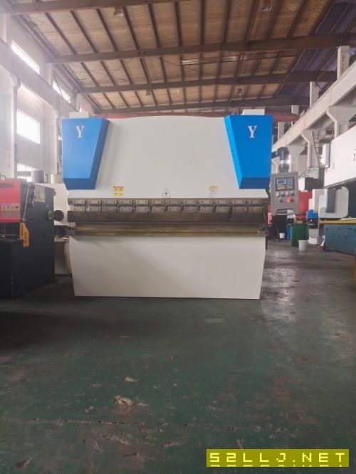 出售南通利王WF67K-100T/2500數(shù)控折彎?rùn)C(jī)