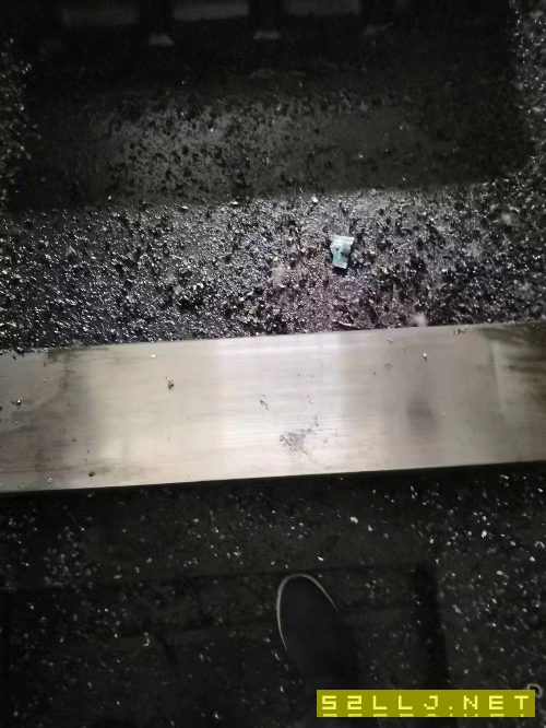 沈陽2米大立加